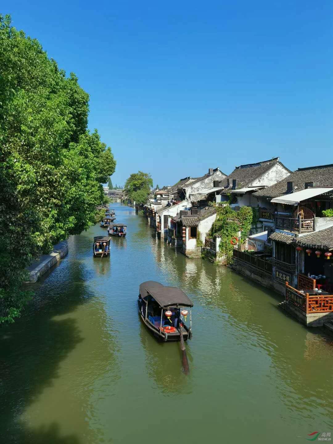探索知识星球平台,尽在